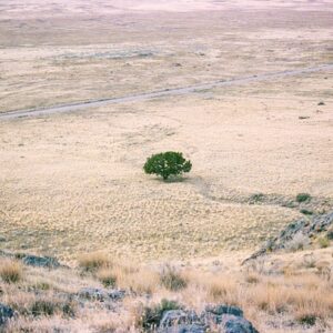 Terrain à Vendre – Assinie (Sud-Est)