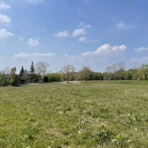 MISE EN VENTE UNE PARCELLE AGRICOLE
